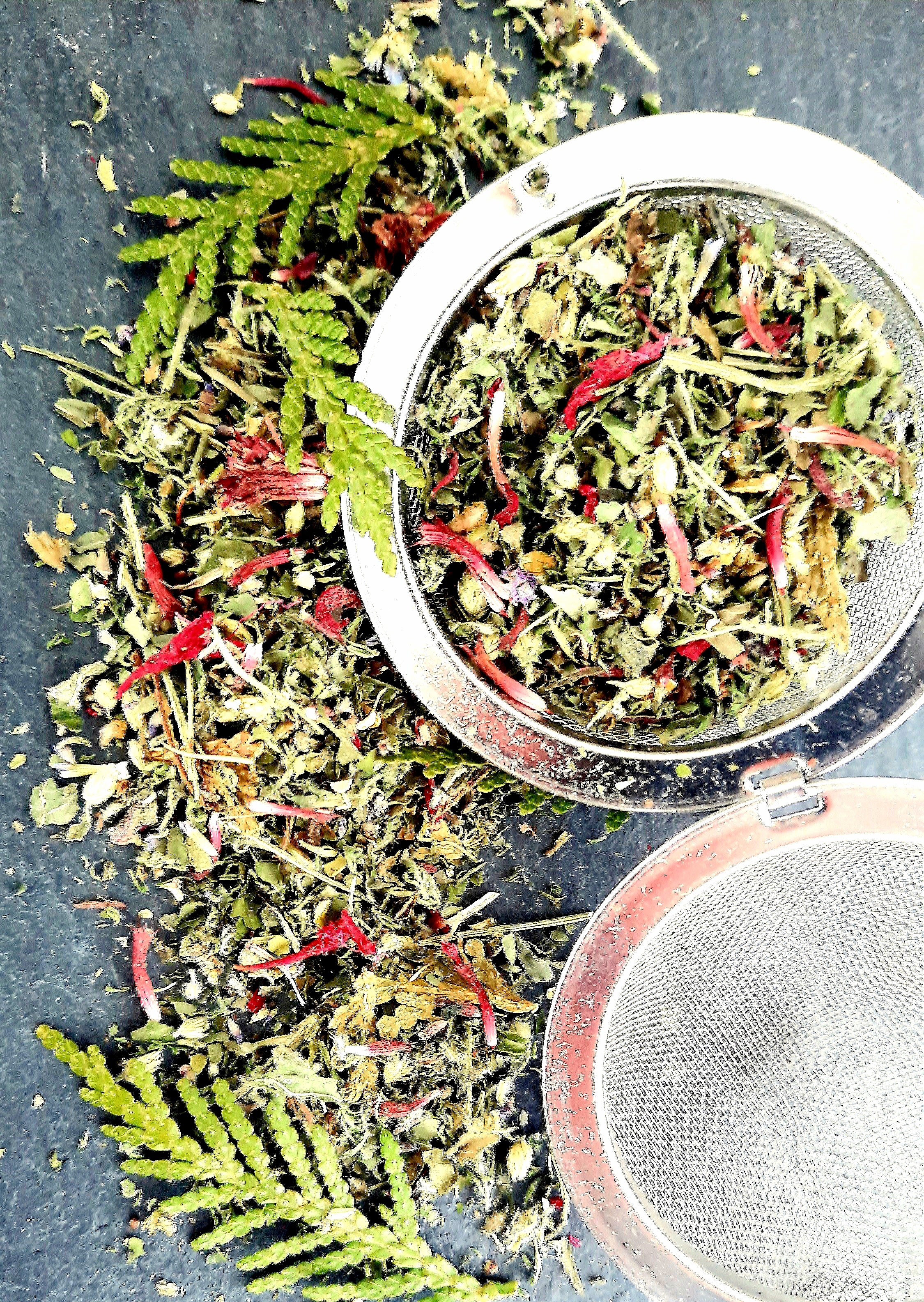 GreenWitch – Le Chai Vert Sauvage et Enchanteur